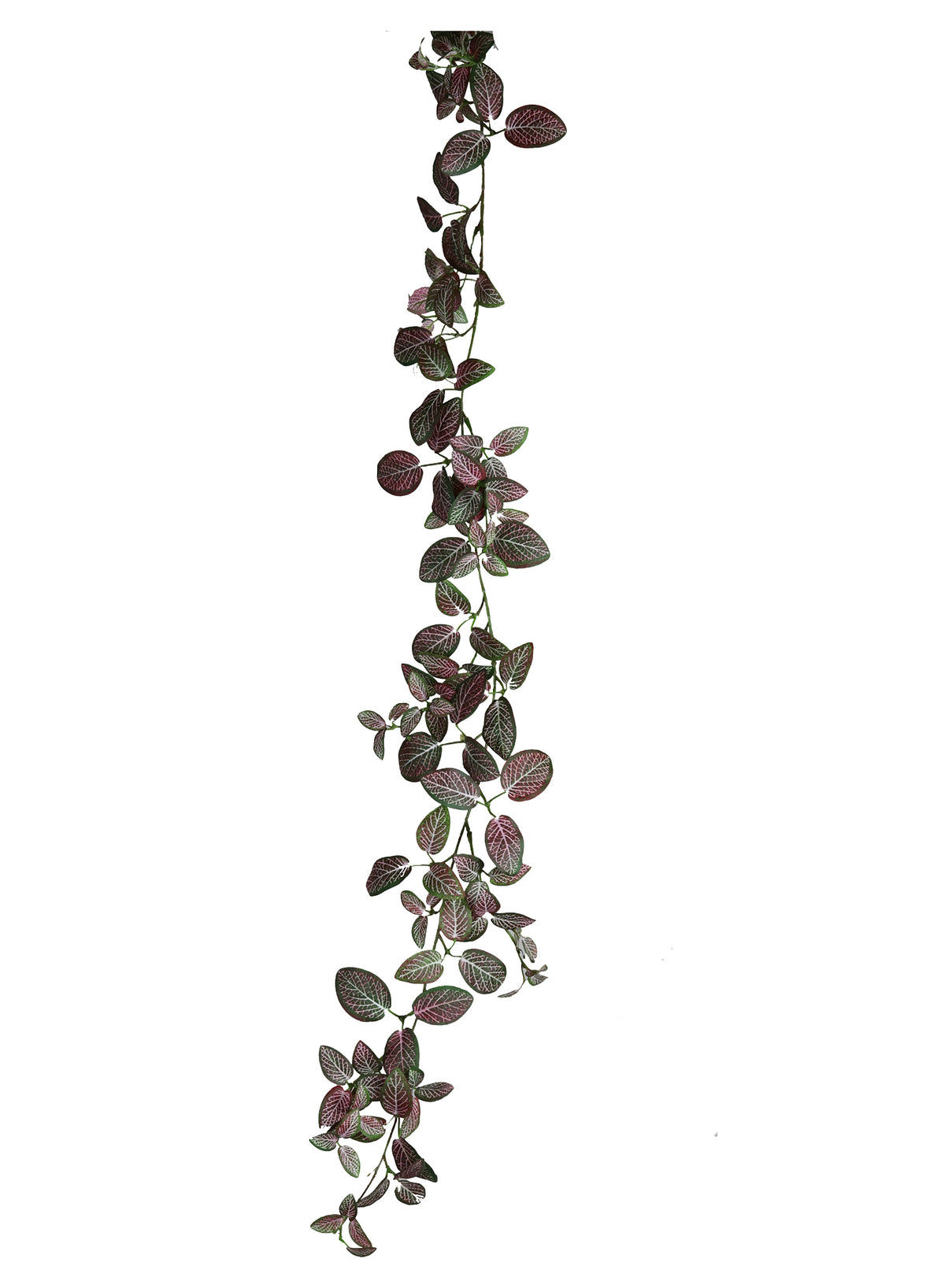 Kunstplante Fittonia Garlang | 1800 mm