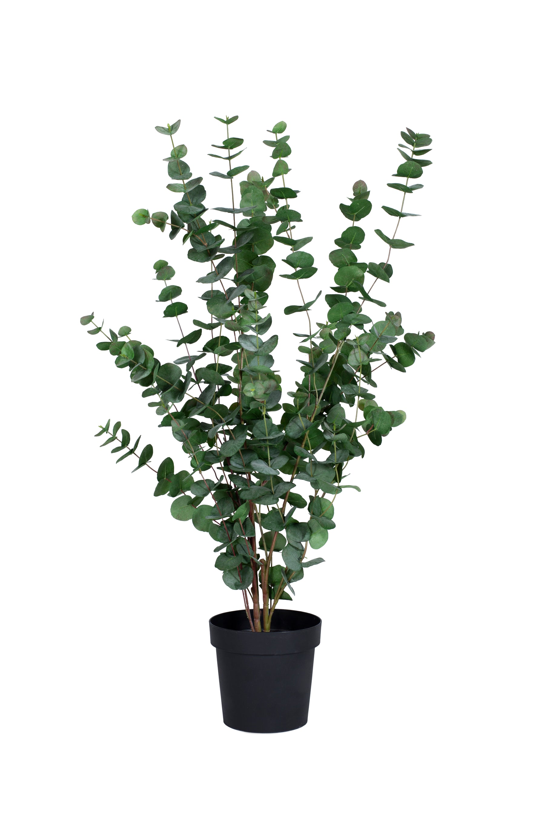 Large Kunstig plante Eucalyptus