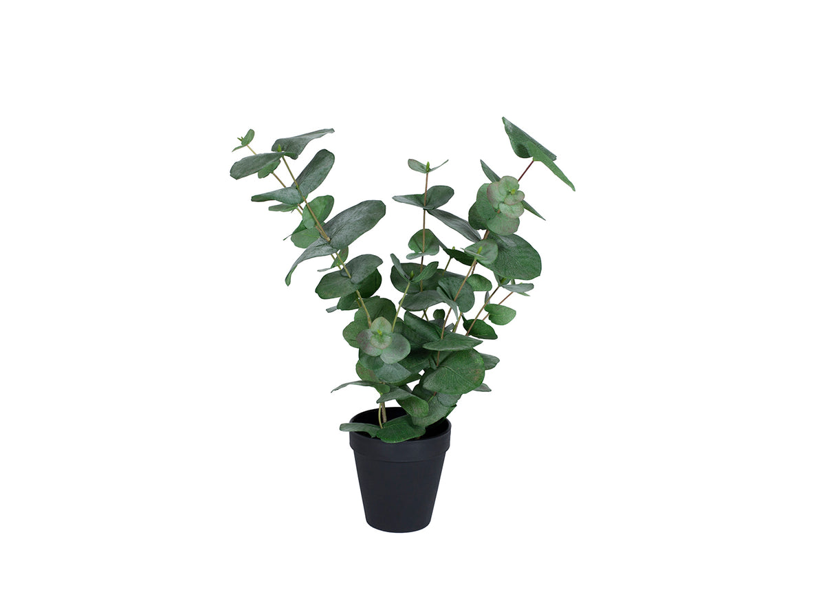 Kunstig plante Eucalyptus Large