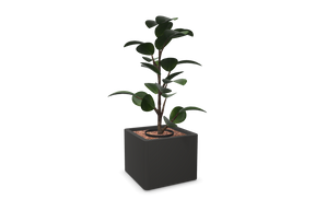 Kunstig plante Ficus Elastica | 900 mm