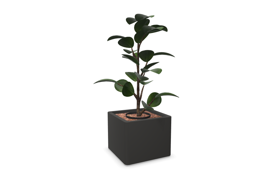 Kunstig plante Ficus Elastica | 900 mm